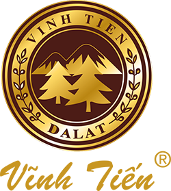logo-vt-250